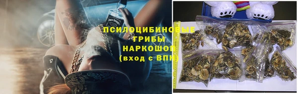 а пвп мука Алзамай