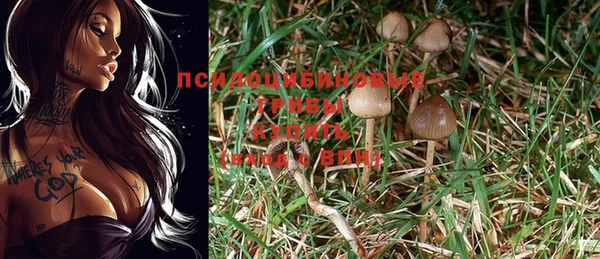 а пвп мука Алзамай